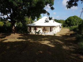 Villa Les iguanes